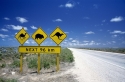 All About Australia